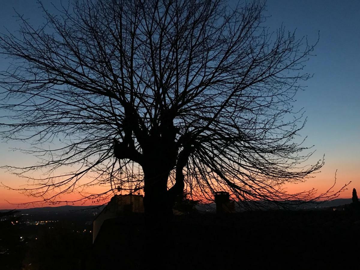 Camera E Appartamento Toscana - B&B Palazzo Robicci Castiglion Fiorentino Luaran gambar